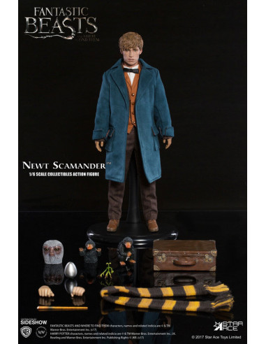 Harry Potter Animali Fantastici Beasts Newt Scamander Eddie Redmayne Star Ace