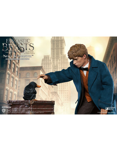 Harry Potter Animali Fantastici Beasts Newt Scamander Eddie Redmayne Star Ace