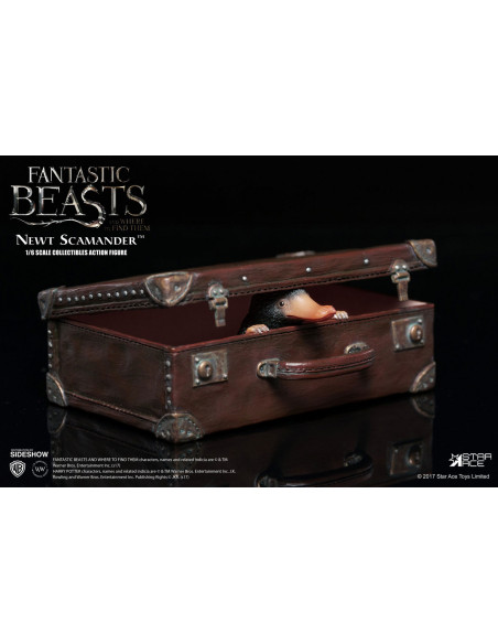 Harry Potter Animali Fantastici Beasts Newt Scamander Eddie Redmayne Star Ace