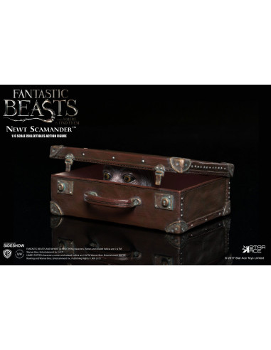 Harry Potter Animali Fantastici Beasts Newt Scamander Eddie Redmayne Star Ace