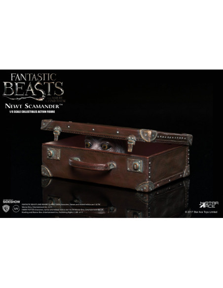 Harry Potter Animali Fantastici Beasts Newt Scamander Eddie Redmayne Star Ace