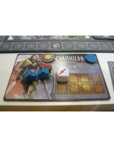 CAMPIONI DI MIDGARD