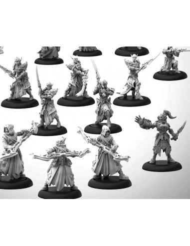 WARMACHINE DUSK HOUSE KALLYSS CORE EXP