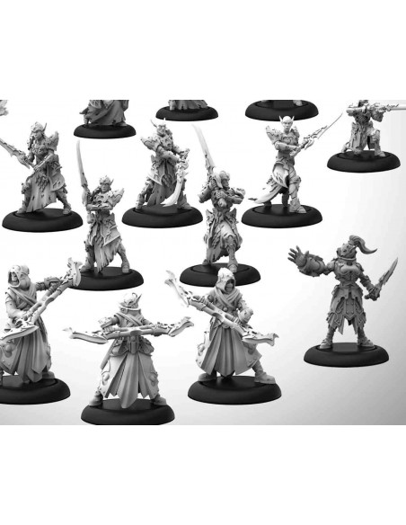 WARMACHINE DUSK HOUSE KALLYSS CORE EXP